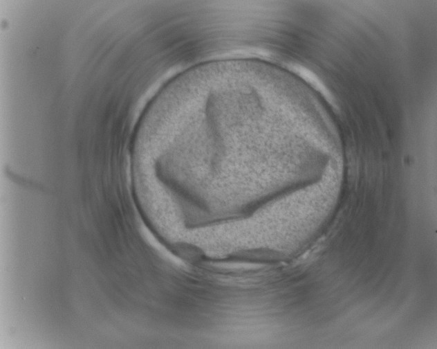 X0000075921476200610151854