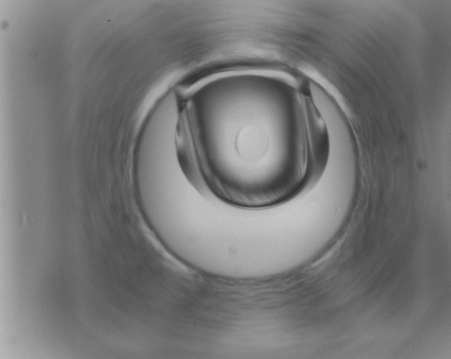 X0000075921477200610151854