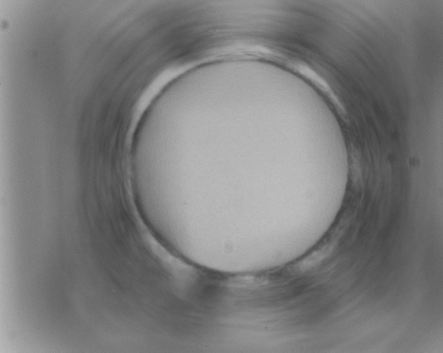 X0000075921478200610151854