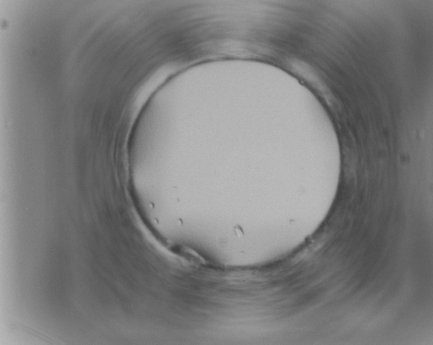 X0000075921479200610151854