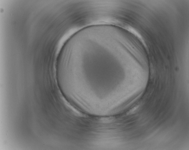 X0000075921480200610151854