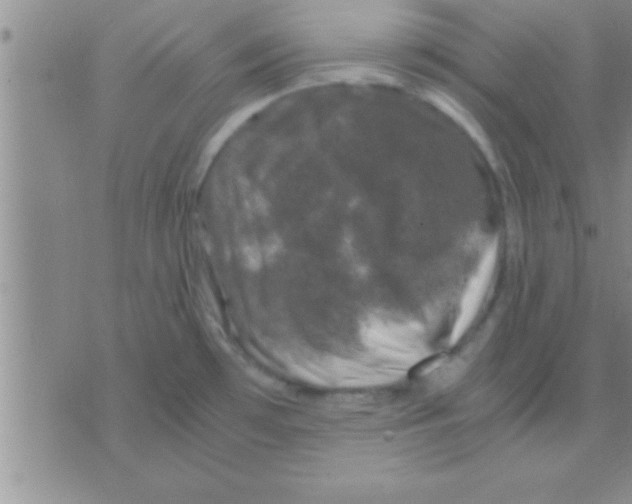 X0000075921481200610151854