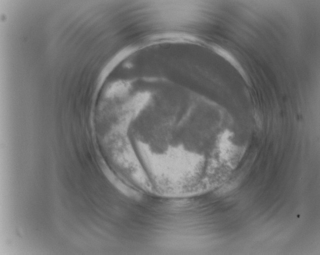 X0000075921482200610151854