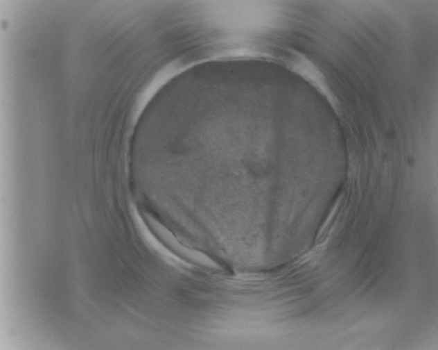 X0000075921483200610151854