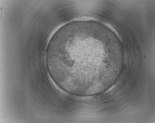 X0000075921484200610151854