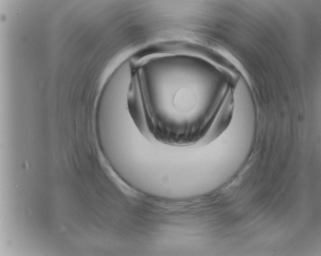 X0000075921485200610151854