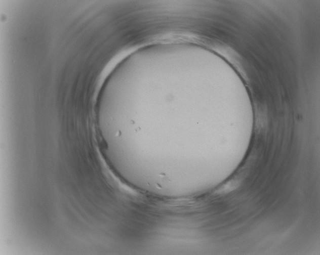 X0000075921486200610151854