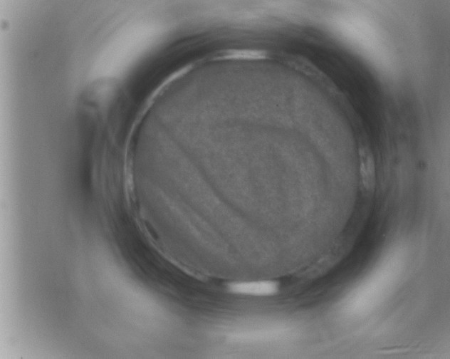 X0000075921487200610151854