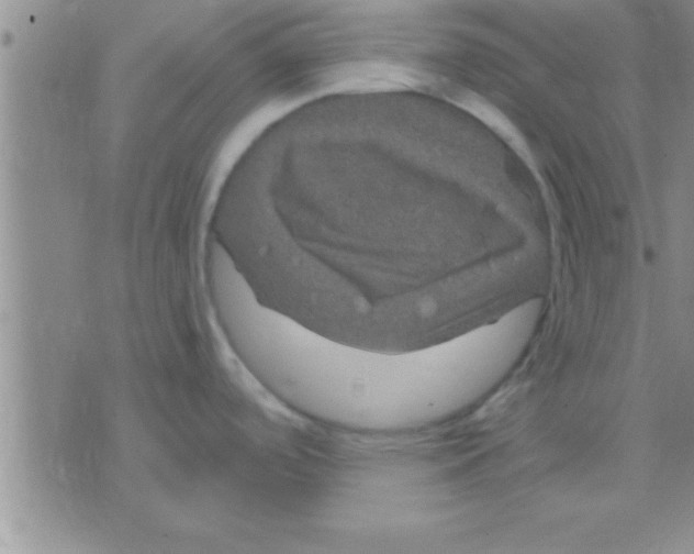 X0000075921488200610151854