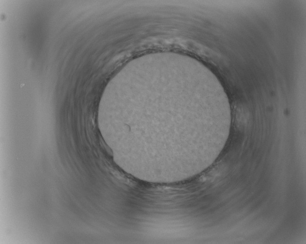 X0000075921489200610151853