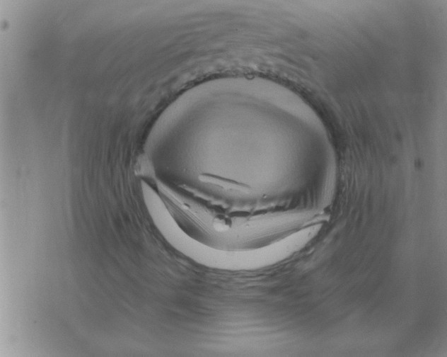 X0000075921490200610151853