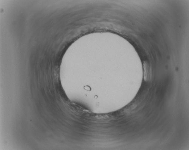 X0000075921491200610151853