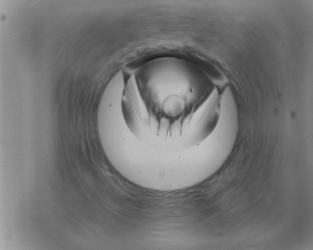 X0000075921492200610151853