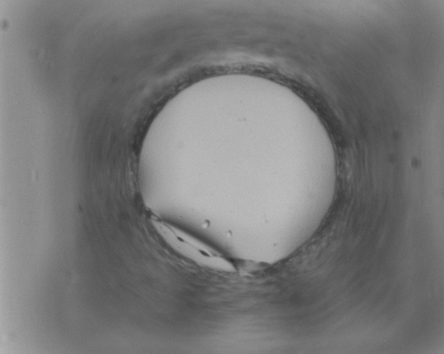 X0000075921493200610151853