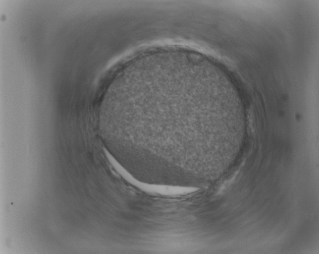 X0000075921494200610151853