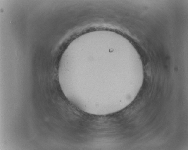 X0000075921495200610151853