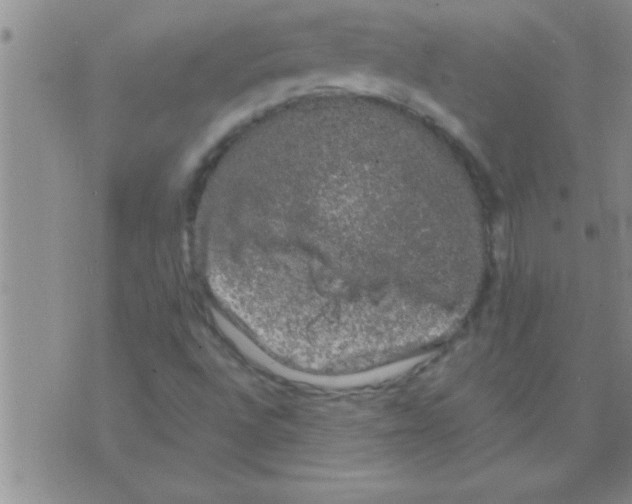 X0000075921496200610151853