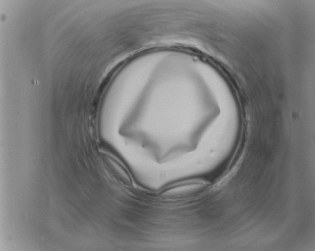 X0000075921497200610151853