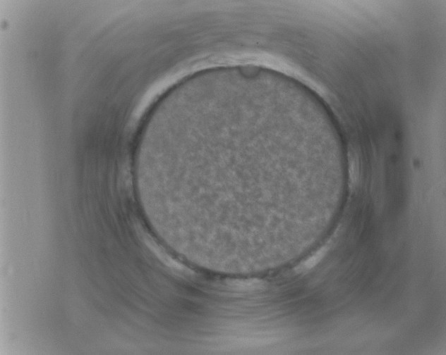 X0000075921498200610151853