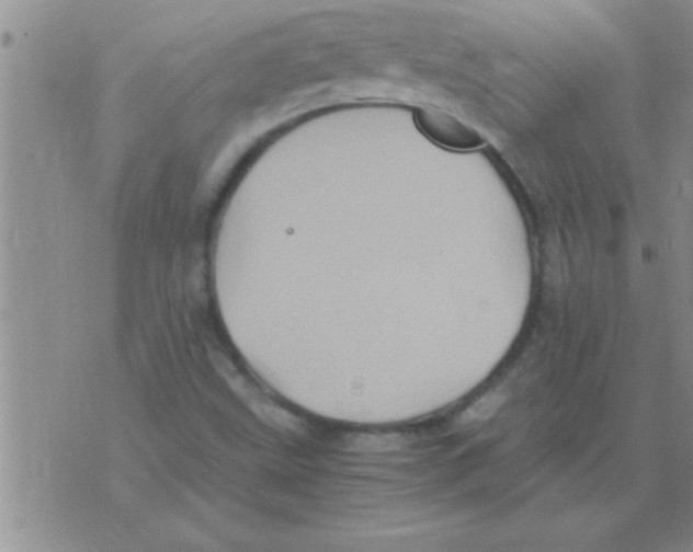 X0000075921499200610151853