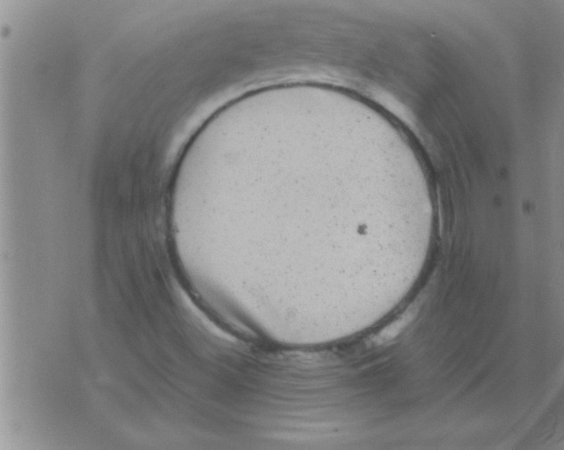 X0000075921500200610151853