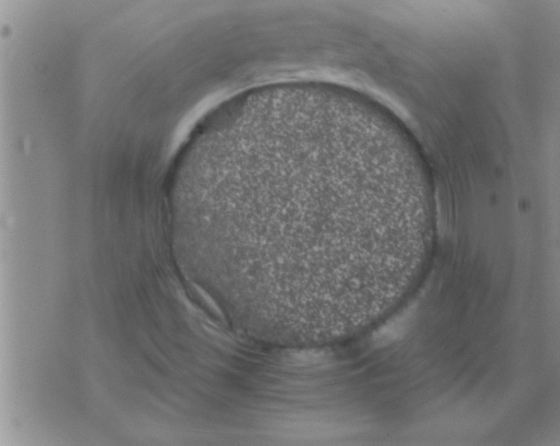 X0000075921501200610151853