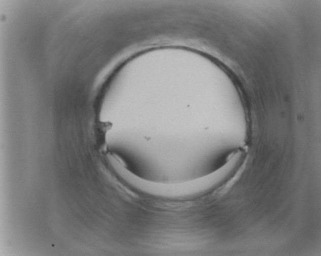 X0000075921502200610151853