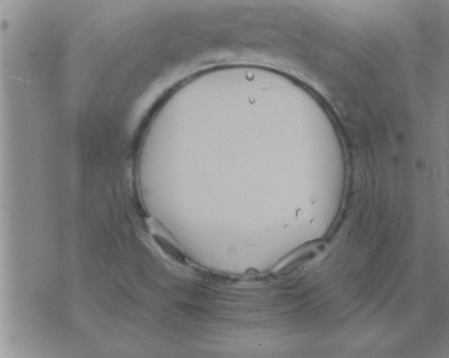 X0000075921503200610151853