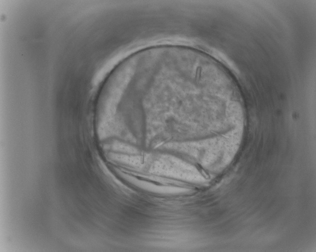 X0000075921504200610151853