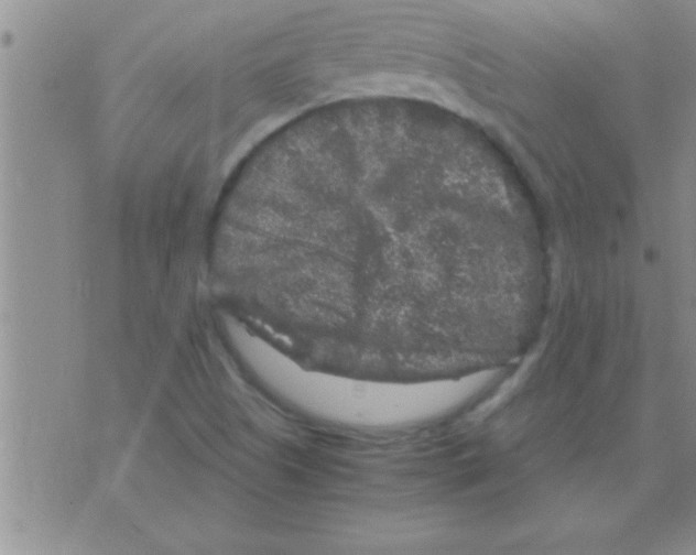 X0000075921505200610151853