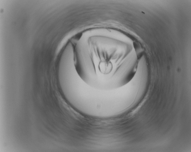 X0000075921506200610151853