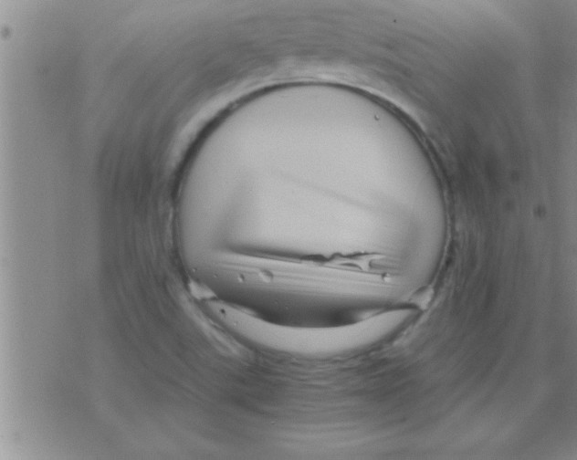 X0000075921507200610151853