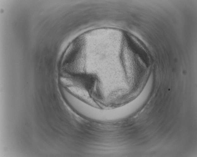 X0000075921508200610151853