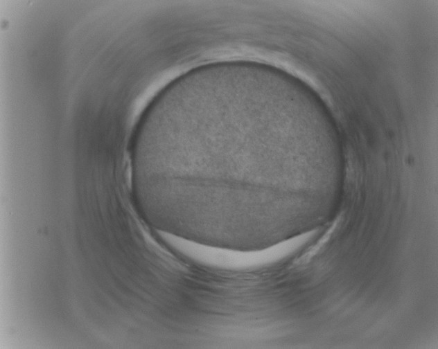 X0000075921509200610151853