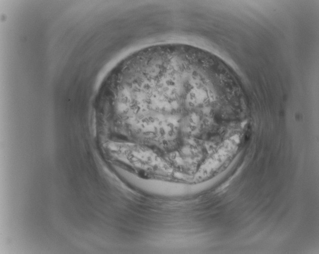 X0000075921510200610151853