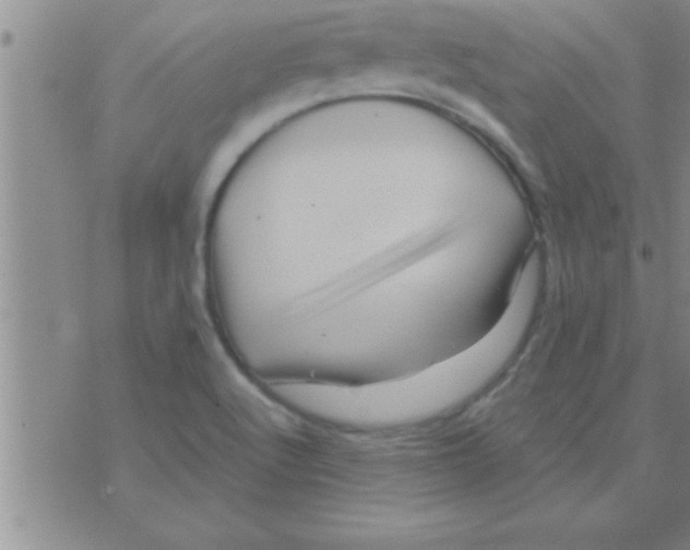 X0000075921512200610151853