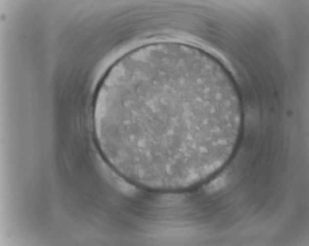 X0000075921514200610151853