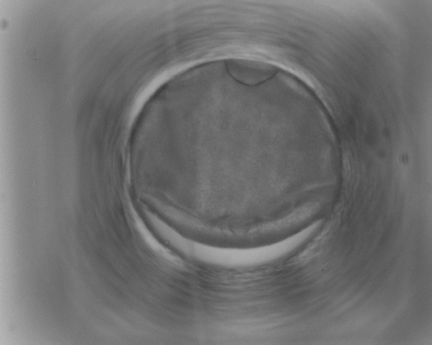 X0000075921515200610151853