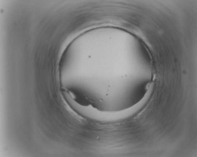 X0000075921516200610151853