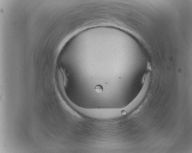 X0000075921518200610151853