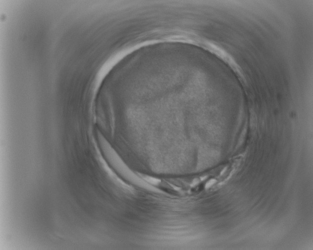 X0000075921520200610151853