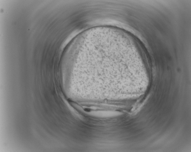 X0000075921521200610151853