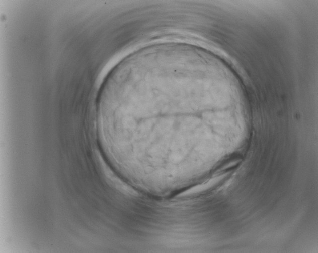 X0000075921522200610151853