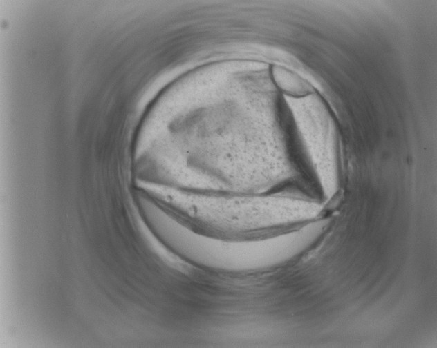 X0000075921523200610151853