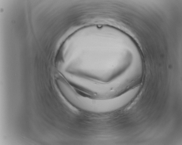 X0000075921525200610151853