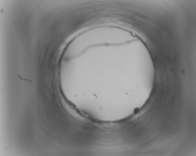 X0000075921526200610151854