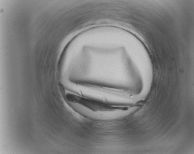 X0000075921527200610151854