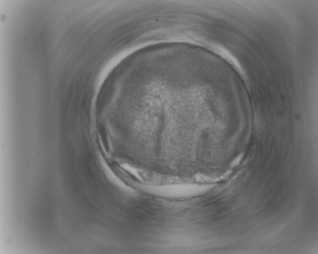 X0000075921528200610151854