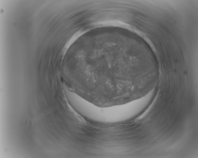 X0000075921529200610151854