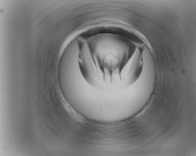 X0000075921530200610151854